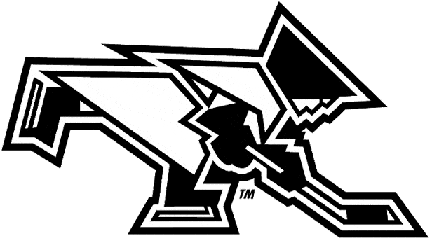 Providence Friars 2000-Pres Misc Logo diy iron on heat transfer